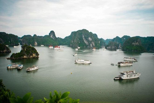 Pour visiter cette baie fantastique, vous pouvez louer un bateau et acheter les billets au port de Bai Chay