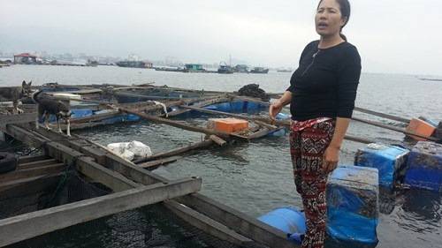 Village flottant des pêcheurs sans Têt à la baie Bai Tu Long