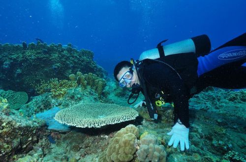 plonger coraux - phu quoc - ha long - voyage vietnam
